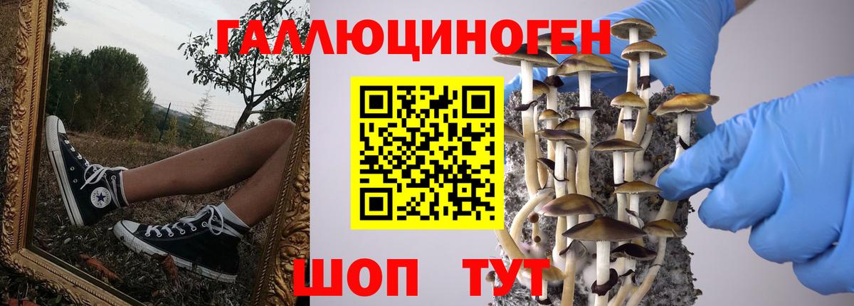 Гай  Галлюциногенные грибы MAGIC MUSHROOMS  Вход с VPN  Галлюциногенные грибы Psilocybine cubensis 