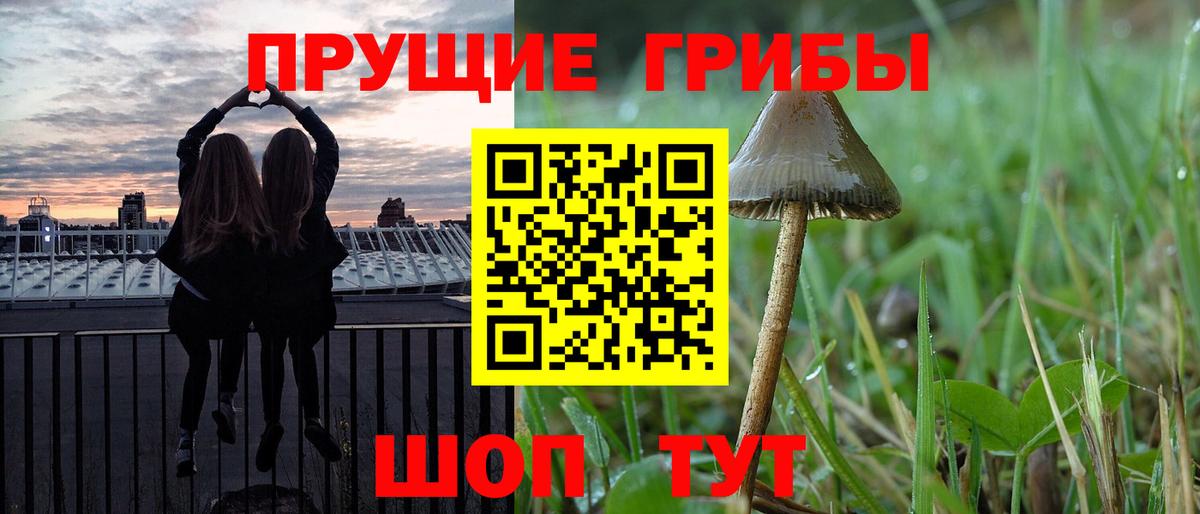 Галлюциногенные грибы Cubensis Гай